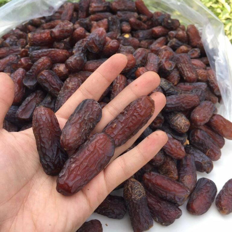 pemborong kurma near me